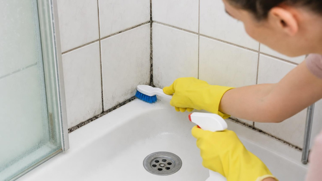Ce que les professionnels utilisent vraiment pour effacer les moisissures noires de vos joints